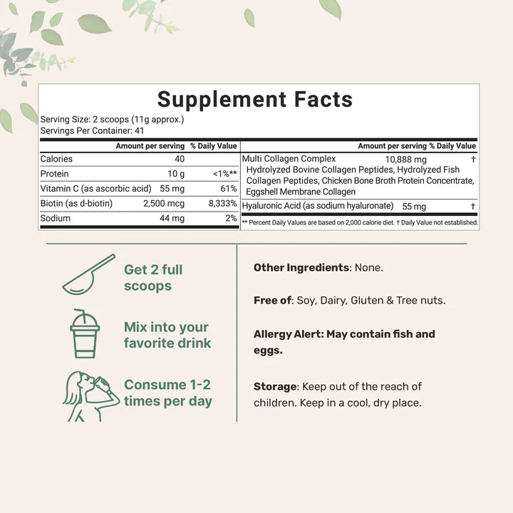 Organic Pea Protein Powder – 100% Plant-Based – 1 Pound