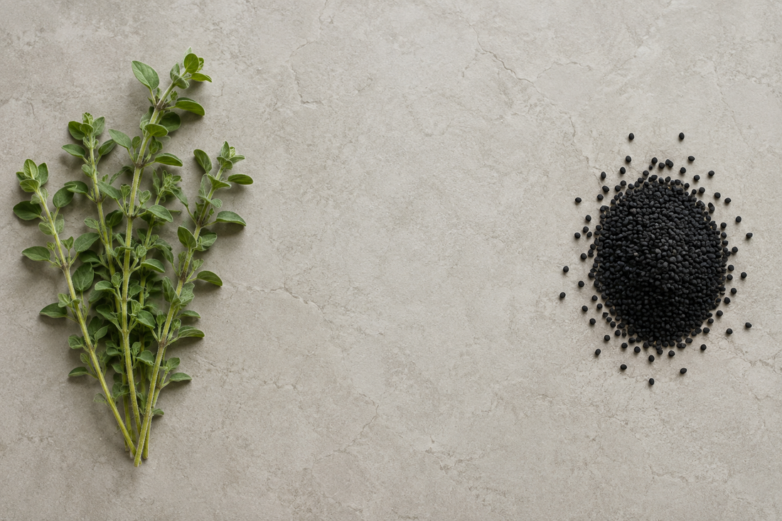 What Is Oil of Oregano with Black Seed Oil? Complete Science-Backed Guide | Cures for Life