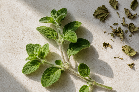 Cures for Life Oil of Oregano with Black Seed Oil: Complete Guide to immune Digestive and Wellness Support