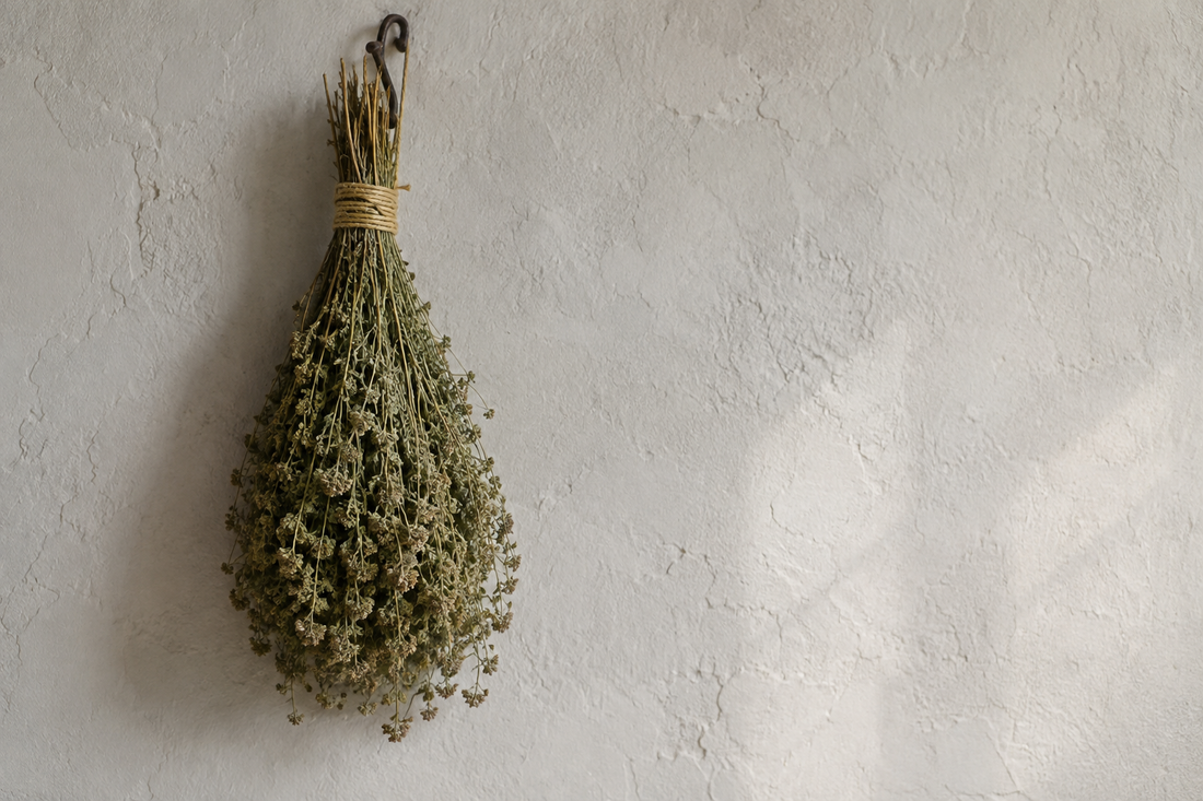 Gut Health and Nature's Anti-Inflammatory Duo: How Oil of Oregano with Black Seed Oil Supports Digestive Wellness and a Balanced Inflammatory Response