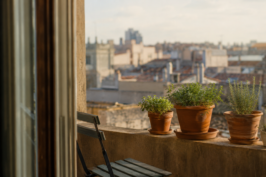 Nature's Most Powerful Antibiotic? The Science Behind Oil of Oregano and Why Thousands Are Switching to This Ancient Remedy