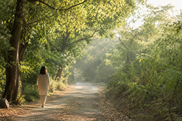 Practical Guides for Improving Mental Clarity and Focus