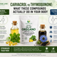 Carvacrol vs Thymoquinone: What These Compounds Actually Do in Your Body | Cures for Life