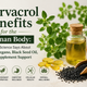 Carvacrol Benefits for the Human Body: What Science Says About Oil of Oregano, Black Seed Oil, and Supplement Support