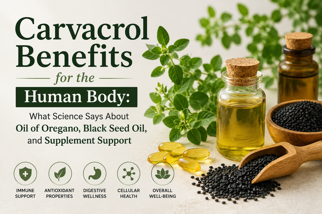Carvacrol Benefits for the Human Body: What Science Says About Oil of Oregano, Black Seed Oil, and Supplement Support
