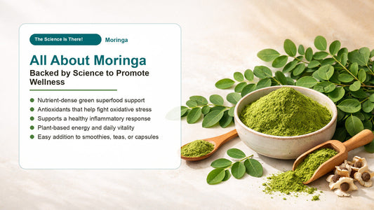 Moringa Benefits for Health, Natural Remedies, and Daily Supplements