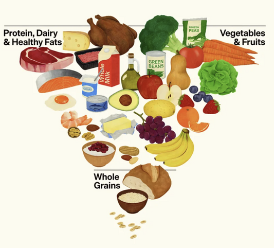 The Long-Term Benefits of a Well-Balanced Diet for Better Health