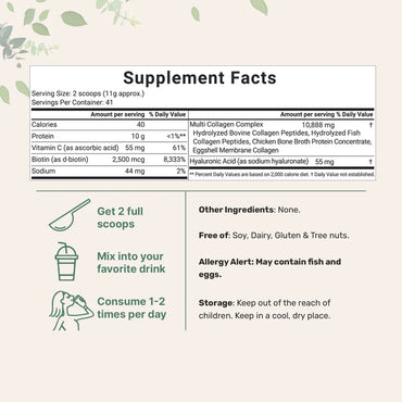 Organic Pea Protein Powder – 100% Plant-Based – 1 Pound